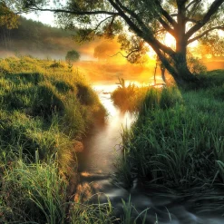 Glasbild MISTY LANDSCAPE II