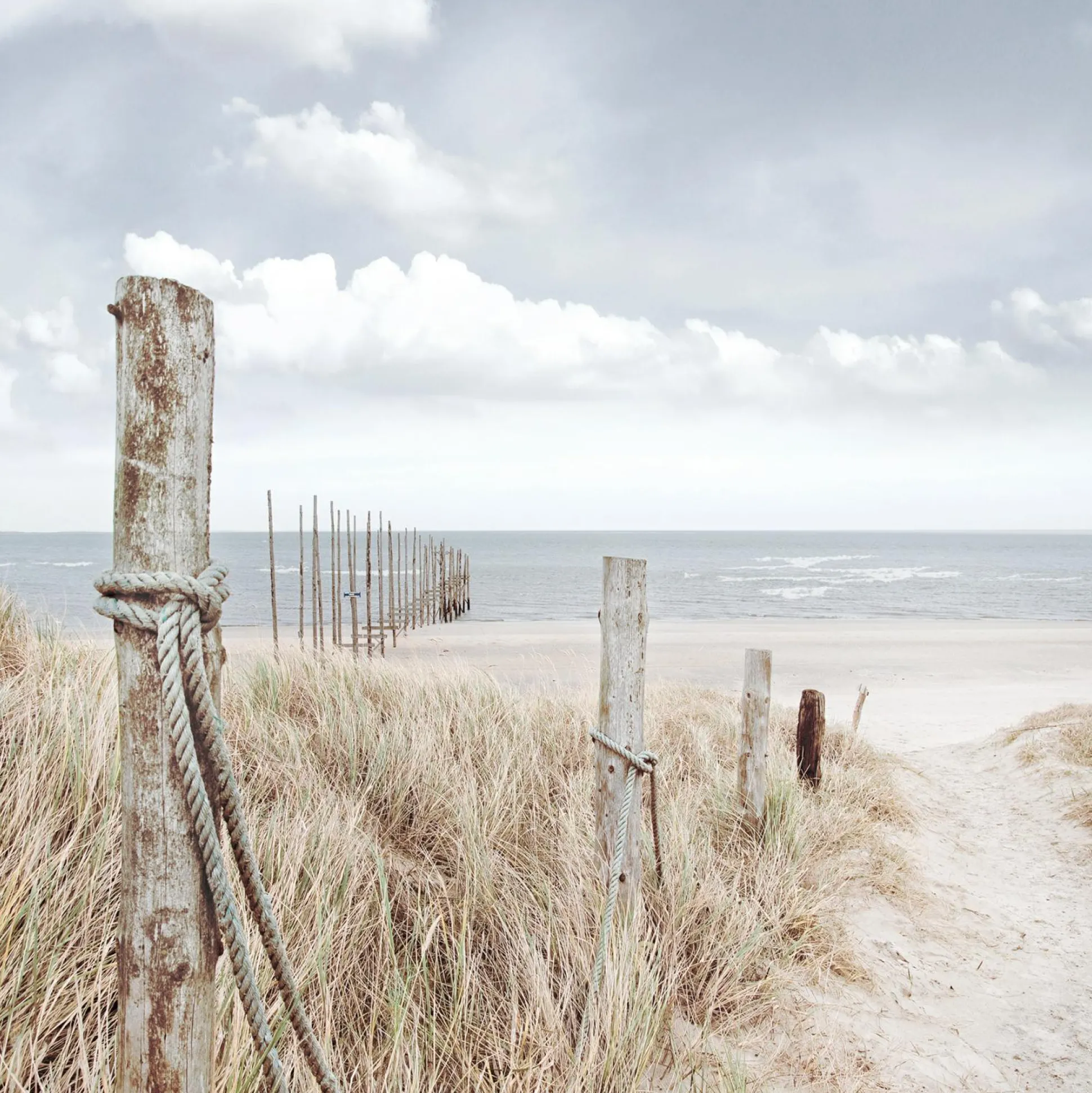 Glasbild OASE DER SINNE II