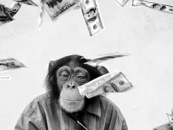 Glasbild SCHIMPANSEN IM GELD