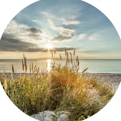 Glasbild WILDER STRAND