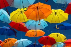 Keilrahmenbild COLORFUL World