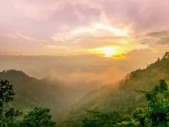 Keilrahmenbild JUNGLE I