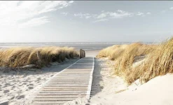 Keilrahmenbild WEG ZUM MEER