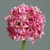 Kunstblume Allium