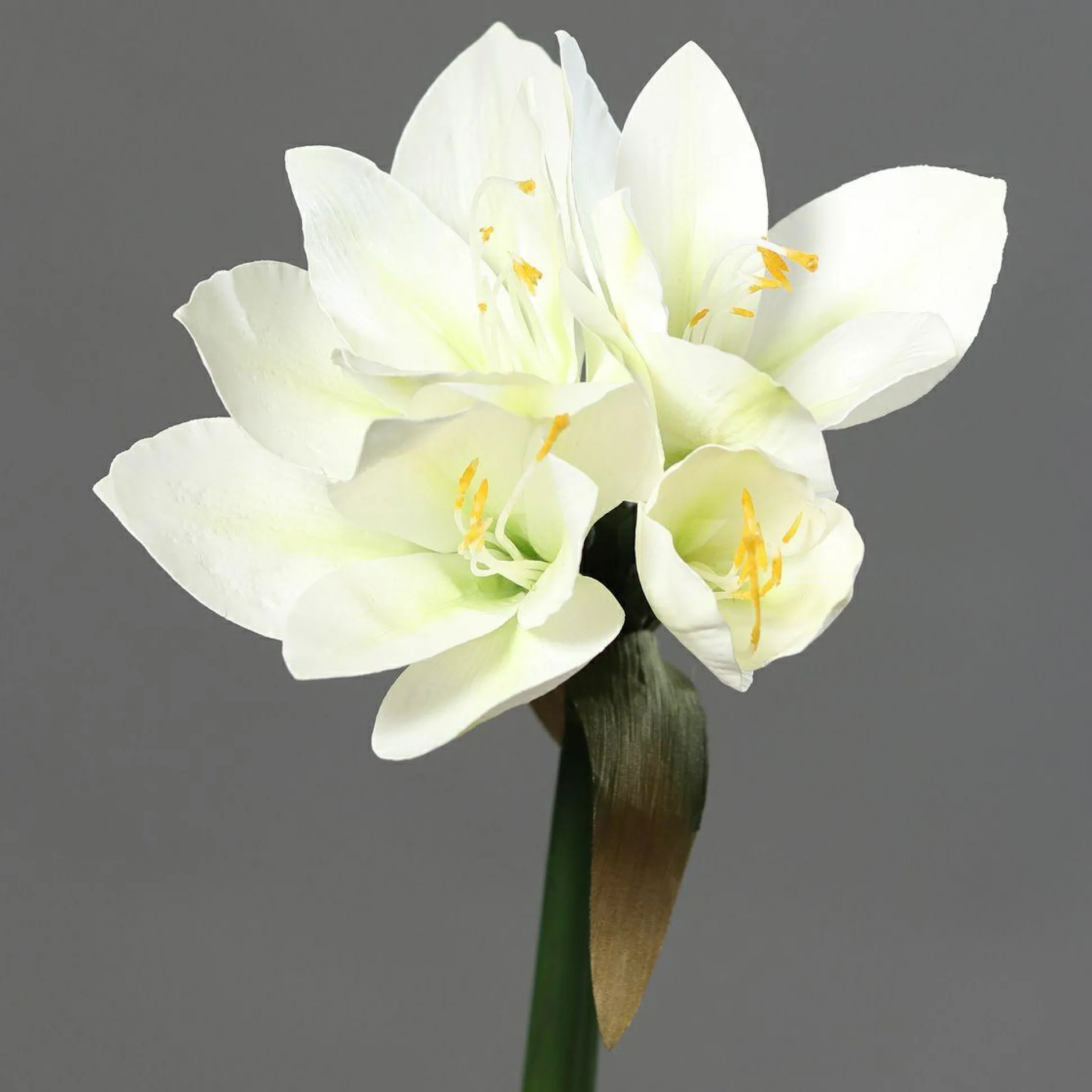 Kunstblume Amaryllis