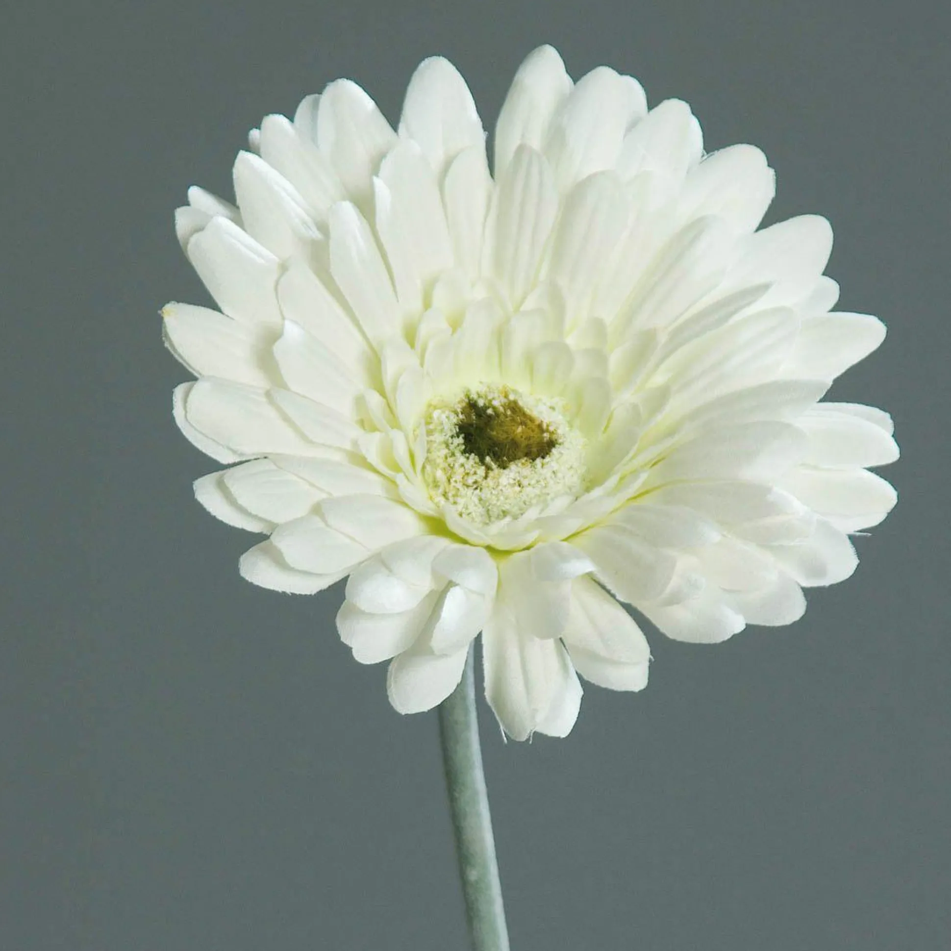 Kunstblume Gerbera