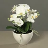 Kunstblume Orchidee