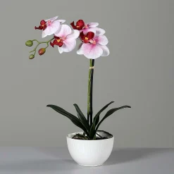 Kunstblume Orchidee