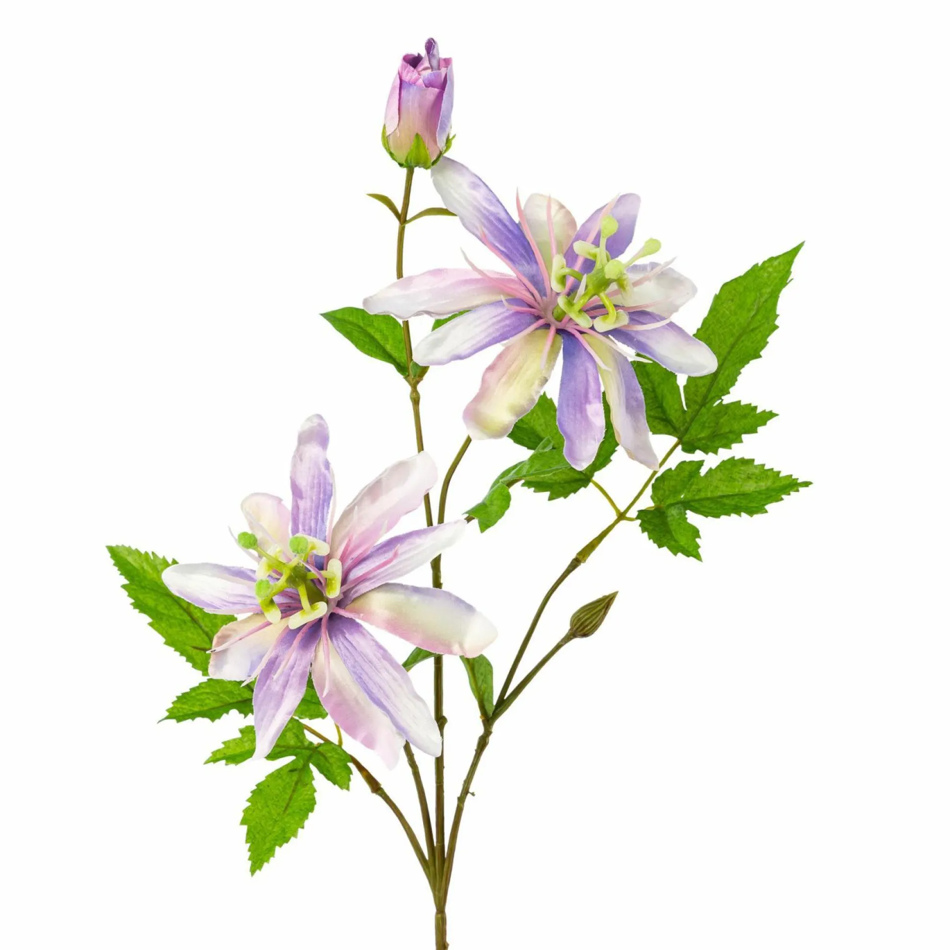 Kunstblume PASSIFLORA