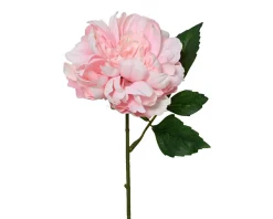 Kunstblume PFINGSTROSE