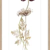 Kunstdruck WILD FLOWERS
