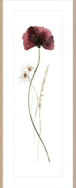 Kunstdruck WILD FLOWERS I