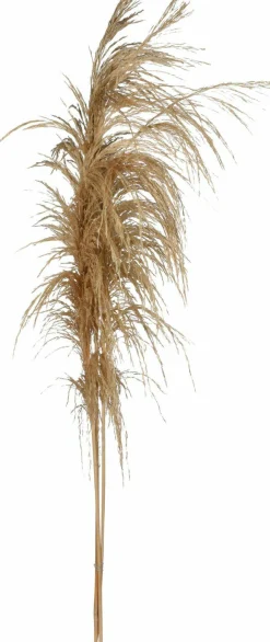 Kunstpflanze Pampasgras