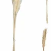 Kunstpflanze Pampasgras