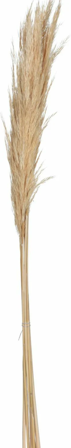 Kunstpflanze Pampasgras