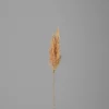 Kunstpflanze PAMPASWEDEL