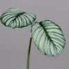 Kunstpflanze PHILODENDRON