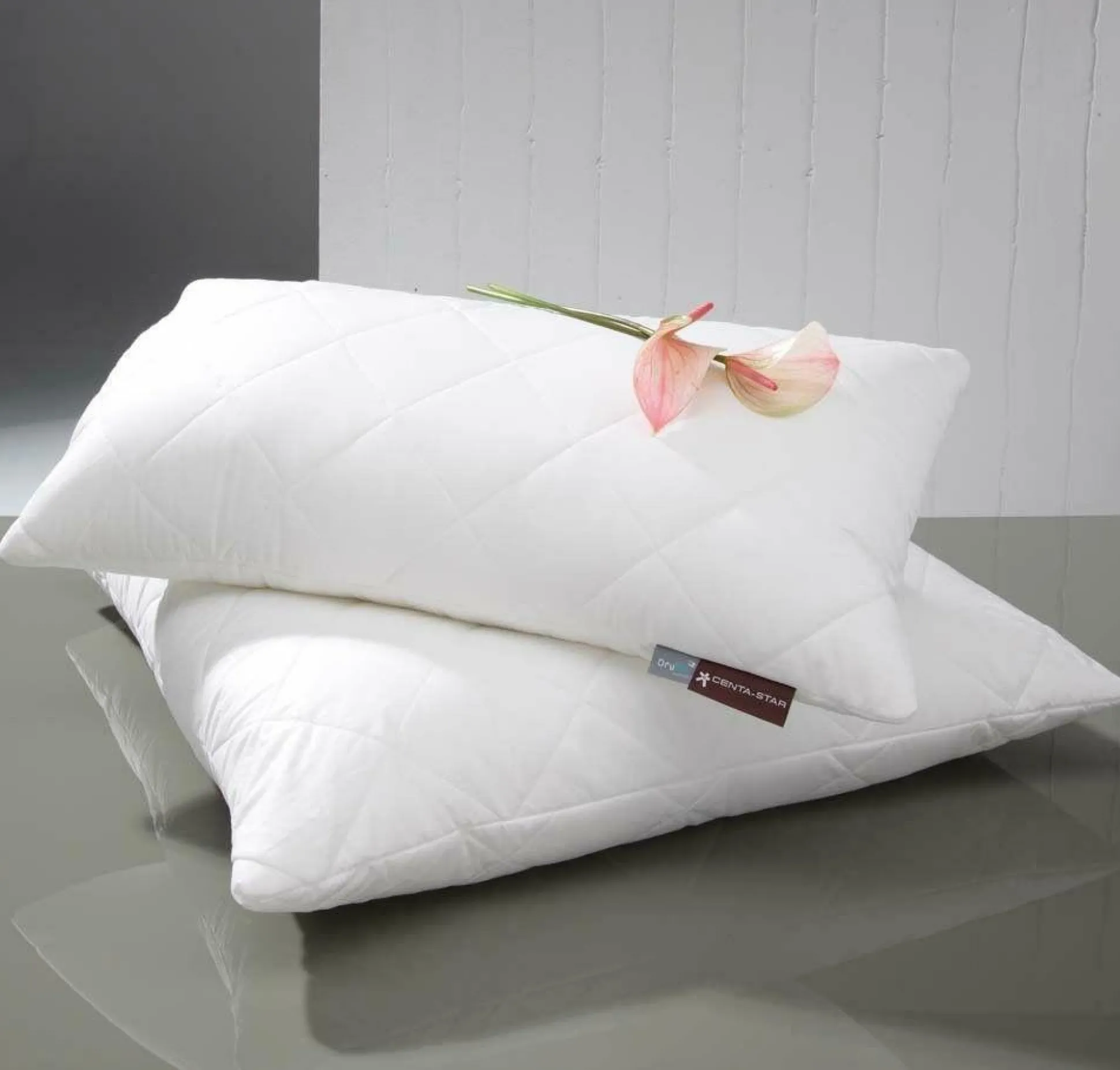 Kuschelkissen CENTA-STAR FAMOUS