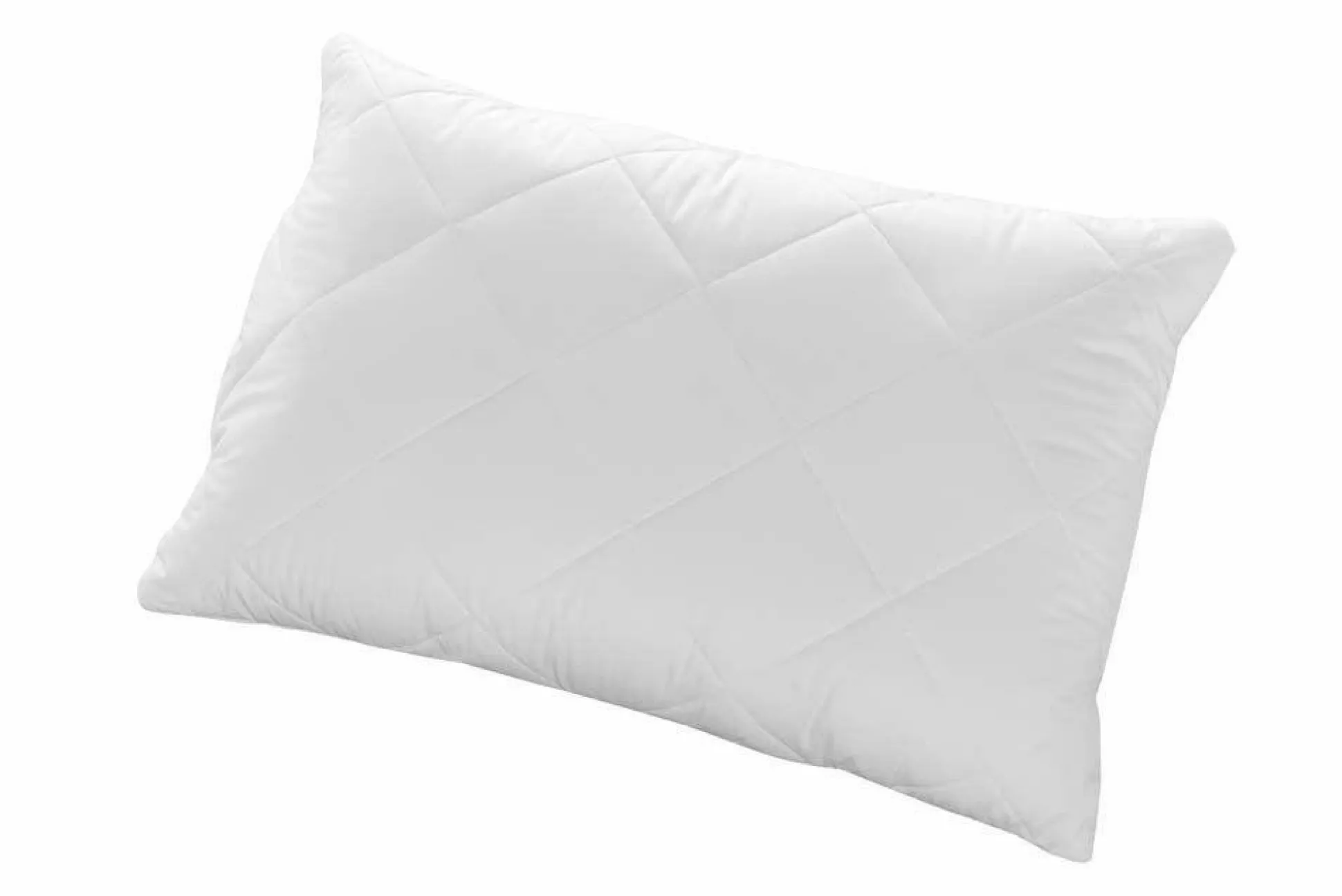 Kuschelkissen CENTA-STAR FAMOUS