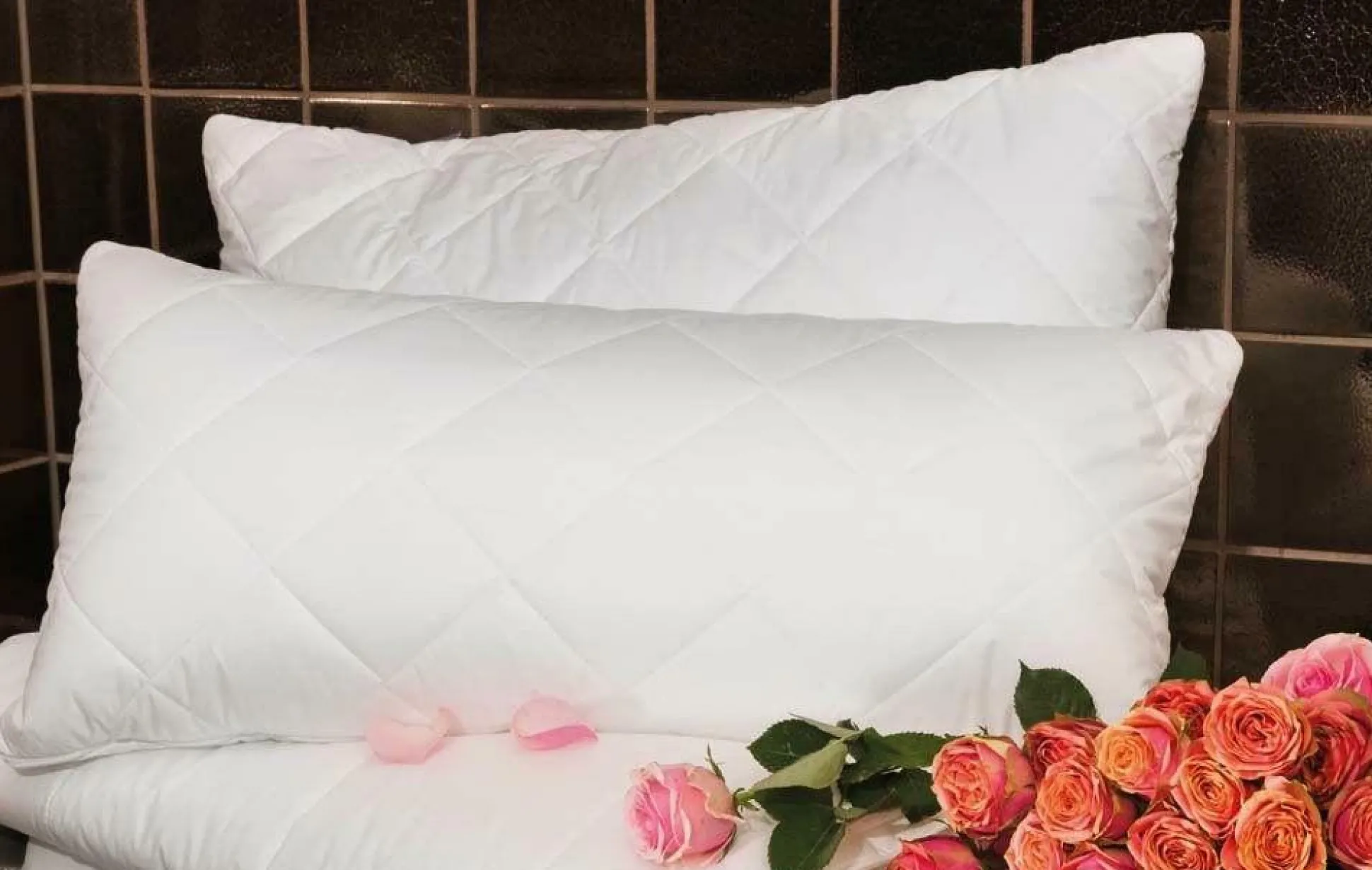 Kuschelkissen CENTA-STAR FAMOUS