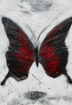 Originalbild BUTTERFLY RED