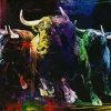 Originalbild COLOURFUL BULLS