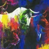 Originalbild COLOURFUL BULLS