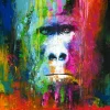 Originalbild COLOURFUL GORILLA