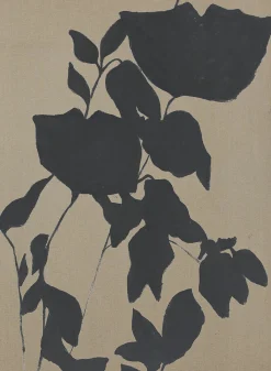 Originalbild FORTUNA BLACK