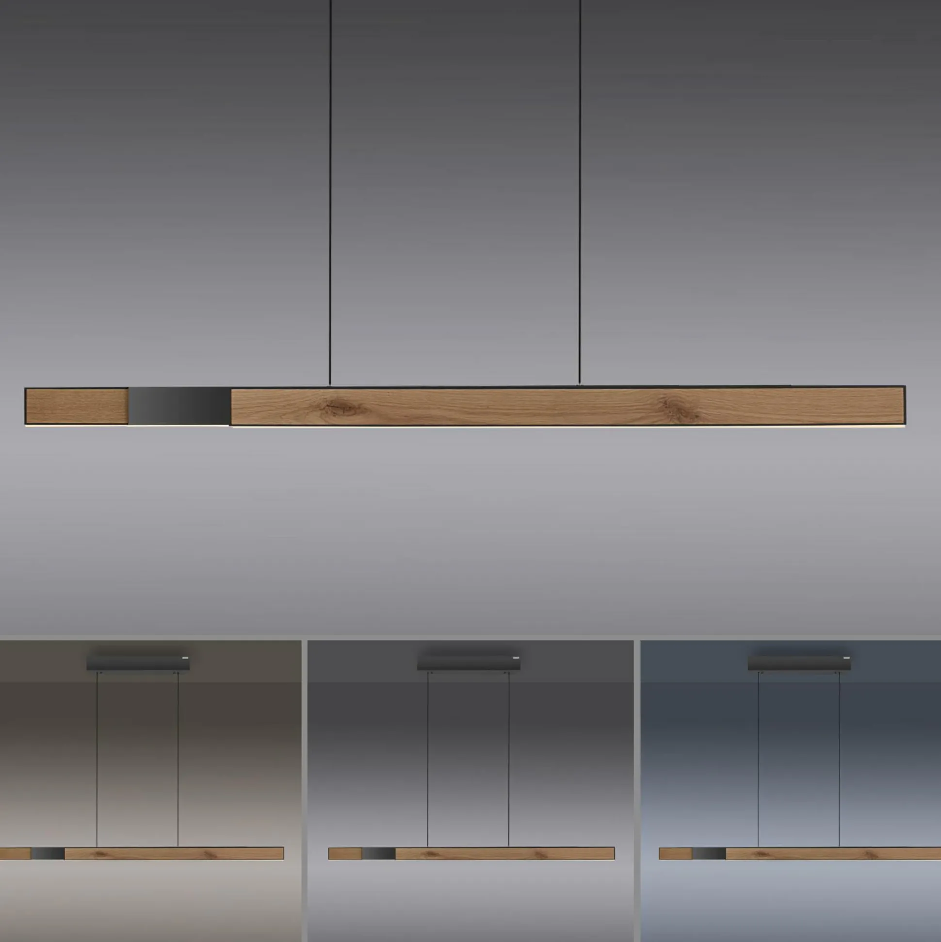 Pendelleuchte PURE MOTO-RISE