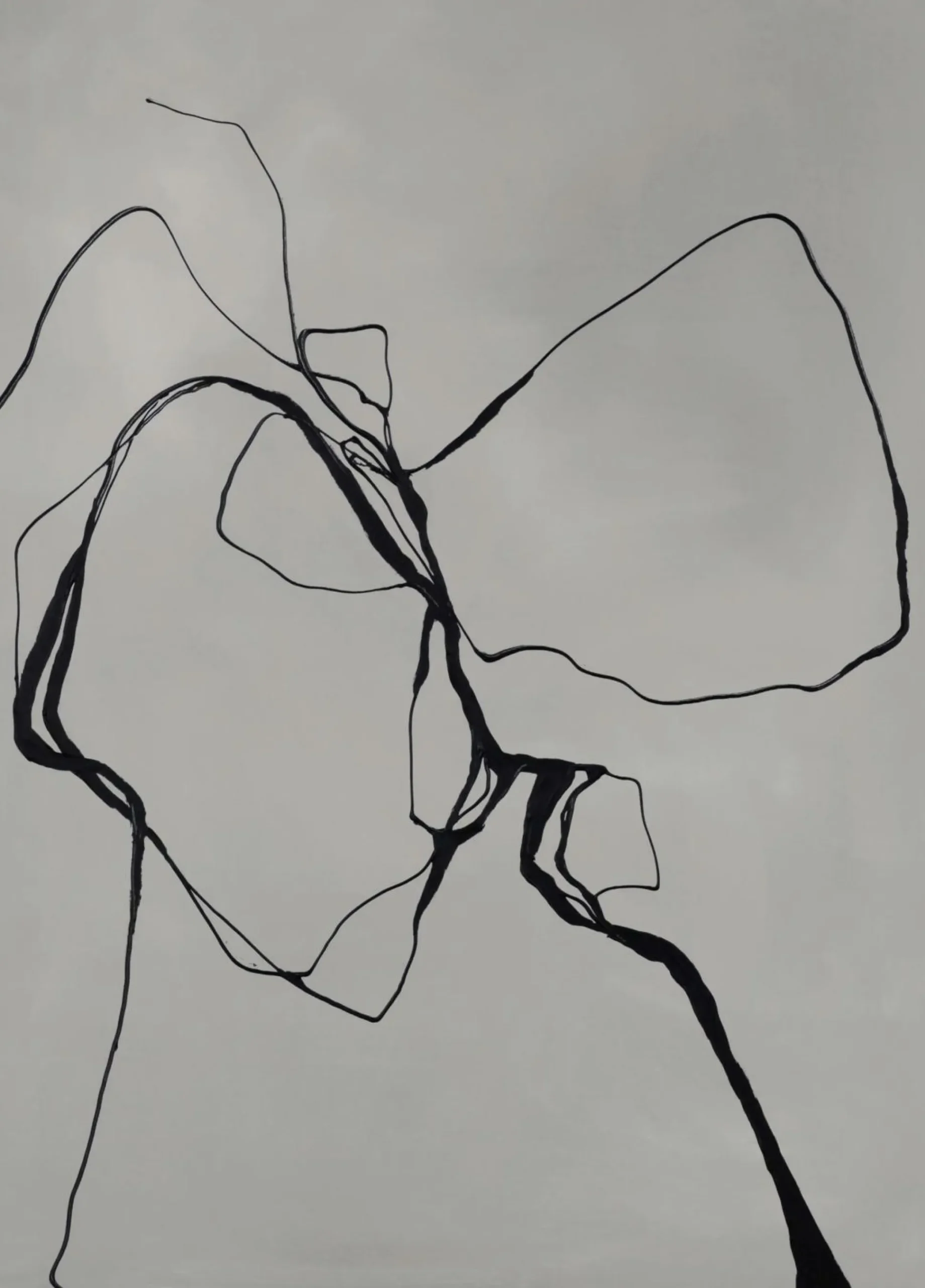 Poster Board FINE LINE