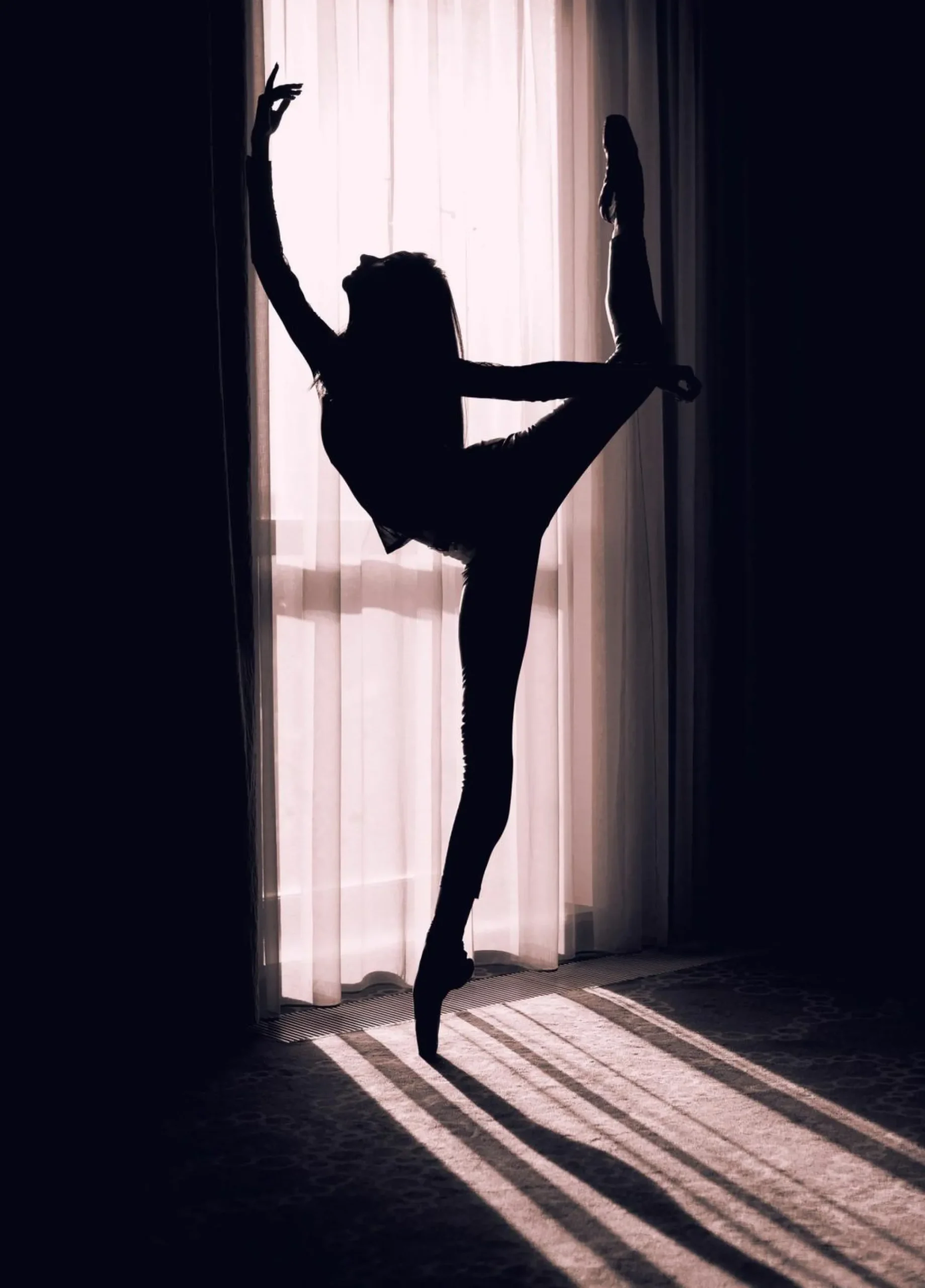 Posterboard PERFECT CURVE