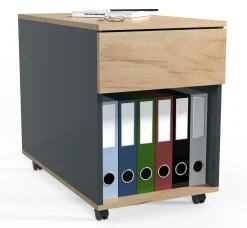 Rollcontainer DALOSA