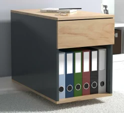 Rollcontainer DALOSA