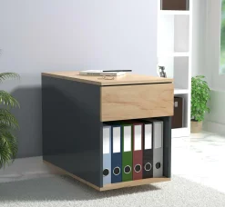 Rollcontainer DALOSA