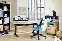 Rollcontainer PAIDI 2S