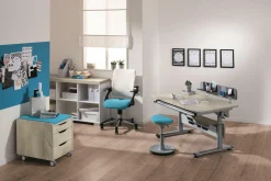 Schreibtisch PAIDI DIEGO 120