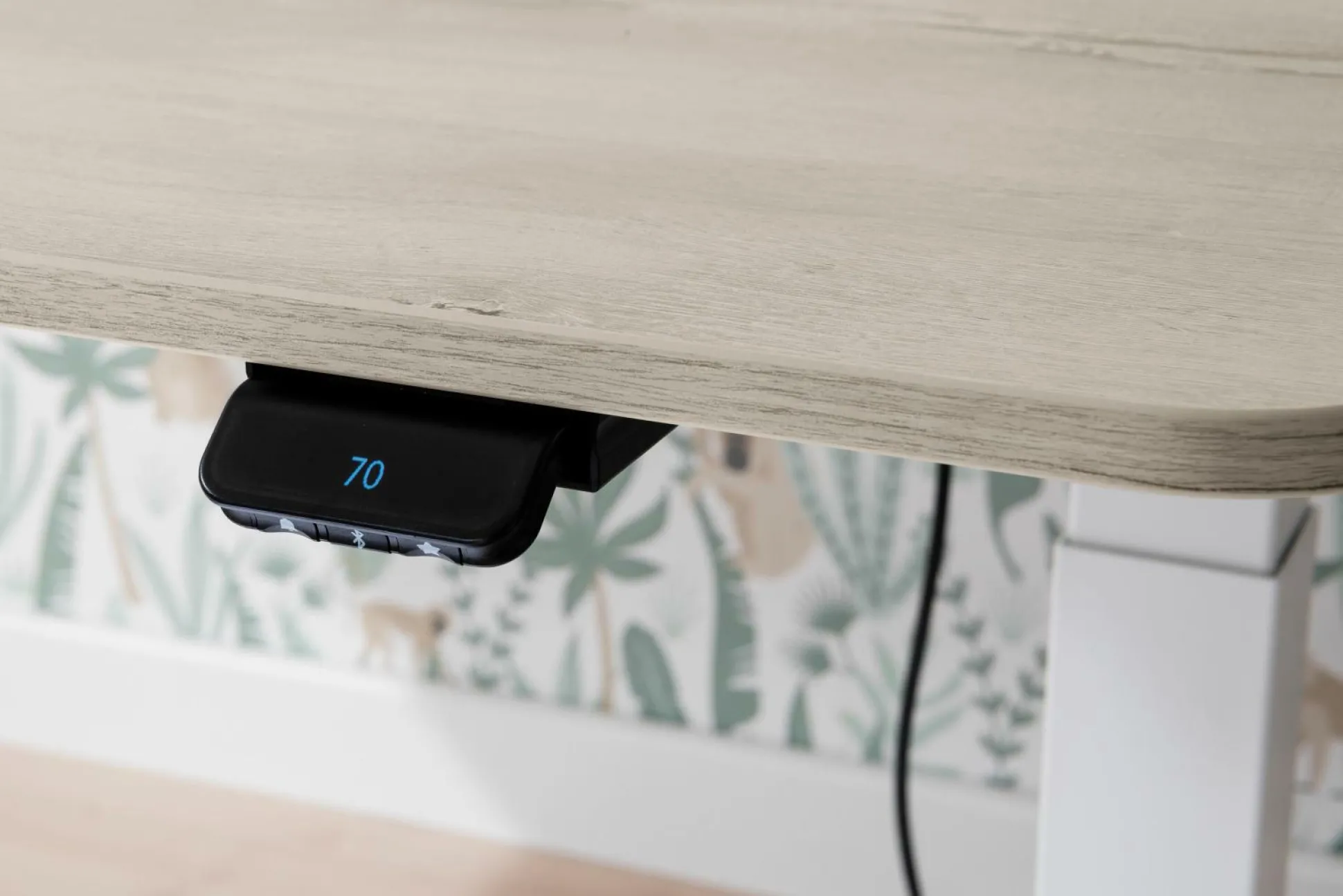 Schreibtisch PAIDI E-LION