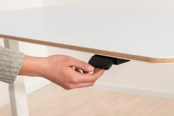 Schreibtisch PAIDI E-LION