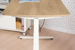 Schreibtisch PAIDI E-LION