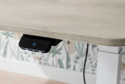 Schreibtisch PAIDI E-LION