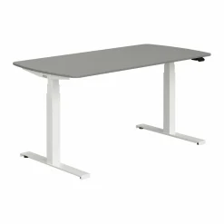 Schreibtisch PAIDI E-LION