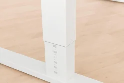 Schreibtisch PAIDI TEENIO 120