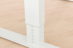 Schreibtisch PAIDI TEENIO 130 GT