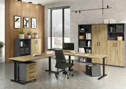 Schreibtisch PROFI 2.0