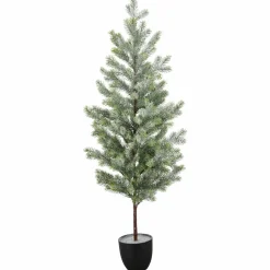 Tannenbaum
