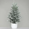 Tannenbaum