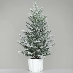 Tannenbaum