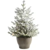 Tannenbaum LED