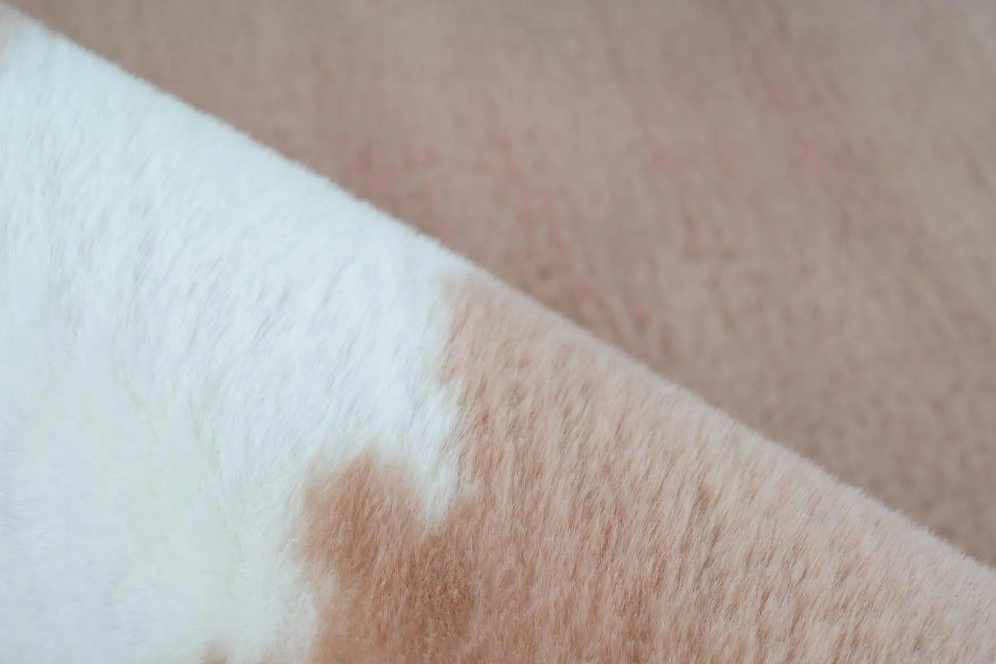 Teppich RABBIT ANIMAL